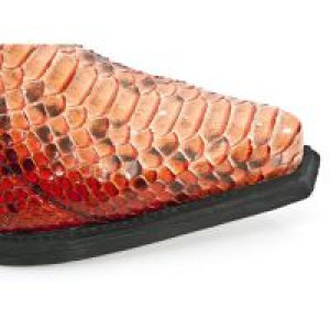  M.7934PT-S11 PYTHON RETICULATUS NARANJA, NOMADA NEGRO, DALLA -  8