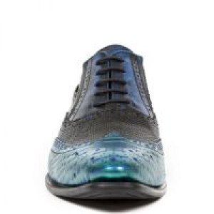  PITON CHAROL VERDE-AZUL, PITONE NEGRO, BOX METAL -  3