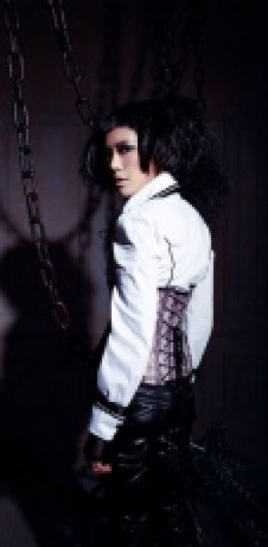    underbust corset /   -  3
