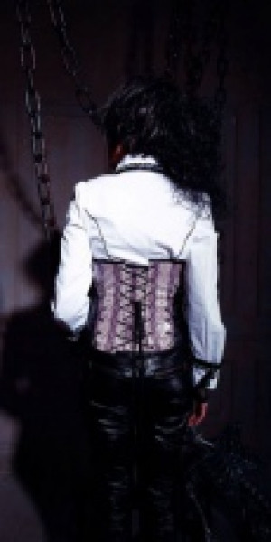    underbust corset /   -  2