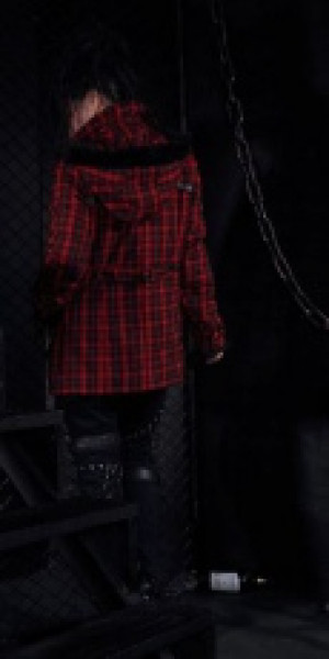  hoodie coat -  3