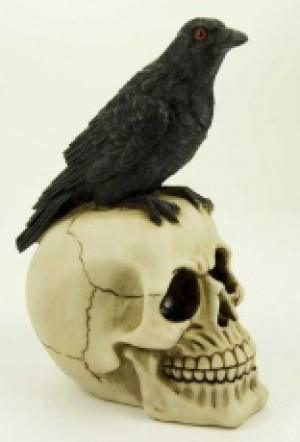  Crow On Skull Cleopatra 72133 -  