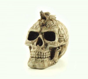     Skull Ivory With Dragon Head Cleopatra 72992 -  