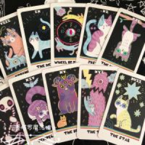   +   - The Weirdcat Tarot Jinhua Binli Stationery Co., Ltd. TB-654781131753 -  