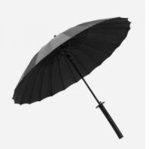  -   +   Shaoxing Shangyu Chunchen Umbrella Industry Co., L DS-1/BB -  