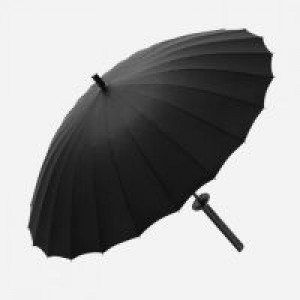  -   +   Shaoxing Shangyu Chunchen Umbrella Industry Co., L DS-1/BB -  
