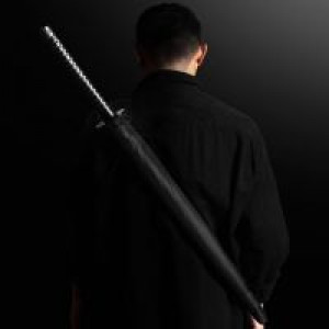  -   +   Shaoxing Shangyu Chunchen Umbrella Industry Co., L DS-1/BB -  