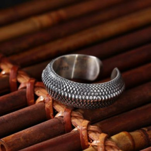  Shenzhen Baoan District Qianye Jewelry Factory TJ-93/SI -  