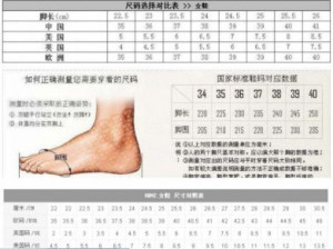 Кроссовки Taizhou Huangyan Haina Shoes Co., Ltd. T375/WT - маленькая картинка
