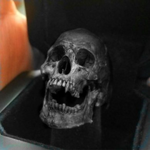  Gothic punk jewelry ring Yiwu Haiyi Electronic Commerce Co., Ltd. ttk0002 -  