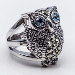  Owl ethnic style open ring Yiwu Hecheng Jewelry Strength Supplier R164 -  