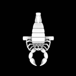  Scorpion embossed men's ring Yiwu Hecheng Jewelry Strength Supplier R889 -  