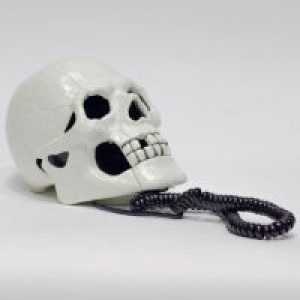 Телефон с черепом White Skull Phone International White Skull Phone - маленькая картинка