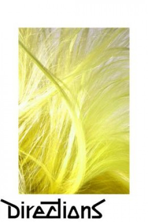 Желтая краска для волос Directions FLUORESCENT YELLOW La Riche Directions FLUORESCENTYELLOW - маленькая картинка
