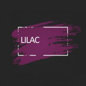 Лиловая краска для волос Unitones 280ml Lilac - Изображение 1