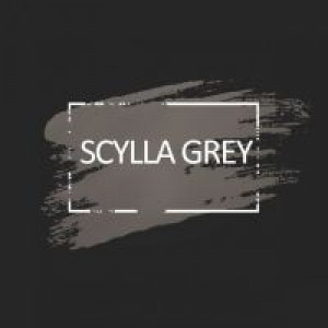 Серая краска для волос Unitones 280ml Scylla Grey - Изображение 1