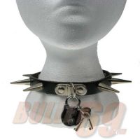  MEDIUM CONE SPIKE & PADLOCK - 