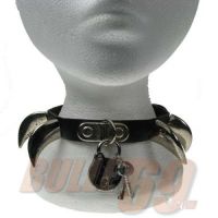  LARGE SABER TOOTH & PADLOCK - 