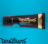 Шампунь для ухода за окрашенными волосами Colour Protecting Shampoo La Riche Directions Colour Protecting Shampoo - маленькая картинка