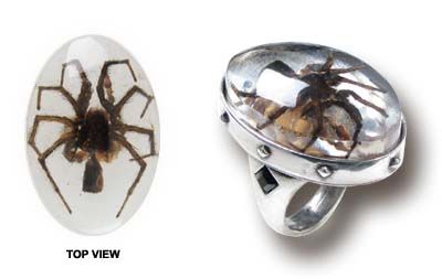  Wolf Spider Alchemy Gothic R143  2