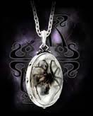    Wolf Spider Alchemy Gothic P521  1