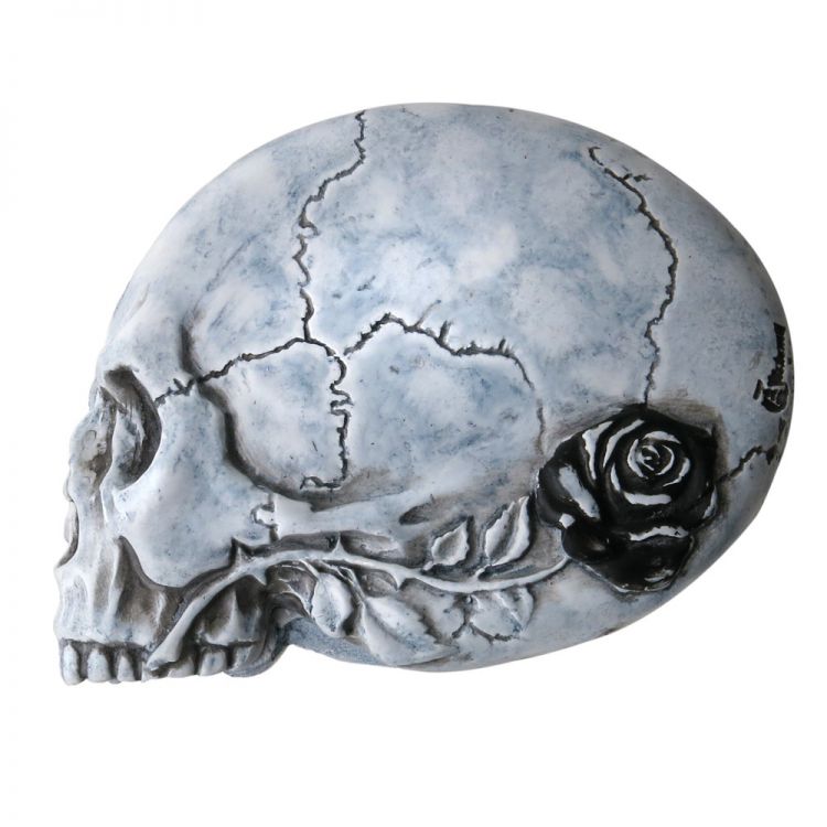   THEVAULT-V27 Alchemy Gothic   2
