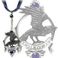 Кулон на цепочке Raven's Call Alchemy Gothic P549 - маленькая картинка