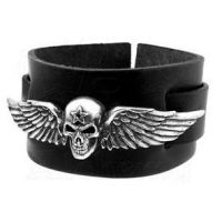  Spirit of Destiny - 