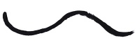 Подводка для глаз Raven Liquid Eyeliner Manic Panic LEL61000 - маленькая картинка
