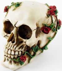 Череп Skull With Rose Cleopatra 94236 - маленькая картинка
