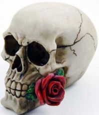 Череп Skull With Rose Cleopatra 96650 - маленькая картинка