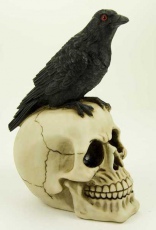Статуэтка Crow On Skull Cleopatra 72133 - маленькая картинка