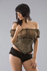  Gypsy gothic mesh top in leopard print - 